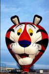tigger.jpg (35567 Byte)