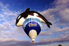 smlshamu.jpg (4440 Byte)