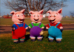 smlpigs.jpg (11695 Byte)