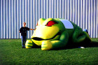 smlfrog.jpg (8416 Byte)