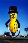 peanut.jpg (30235 Byte)